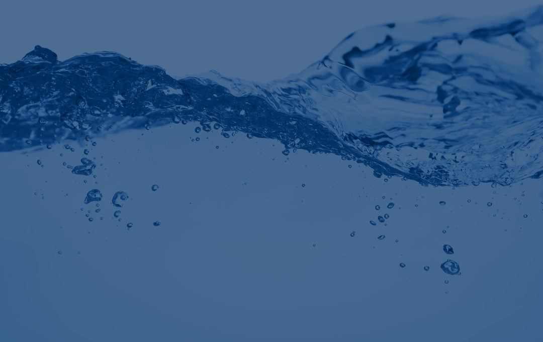 nuova Direttiva Europea 2024/3019